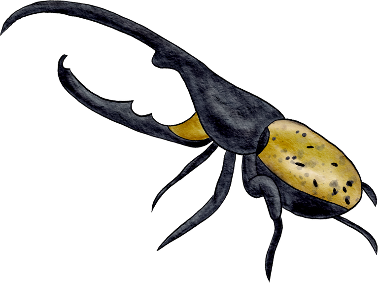watercolor illustration insects. Bugs. A yellow beetle with wings. Watercolor of beetles insect. Watercolor beetle.