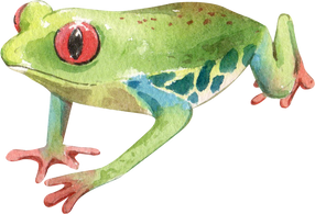 Cartoon Amphibians and Reptiles Watercolor Clipart Png